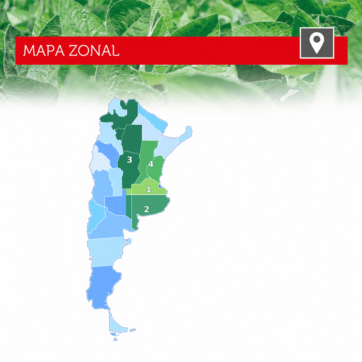 Zonas de la red comercial de Fitoquímica S.A.